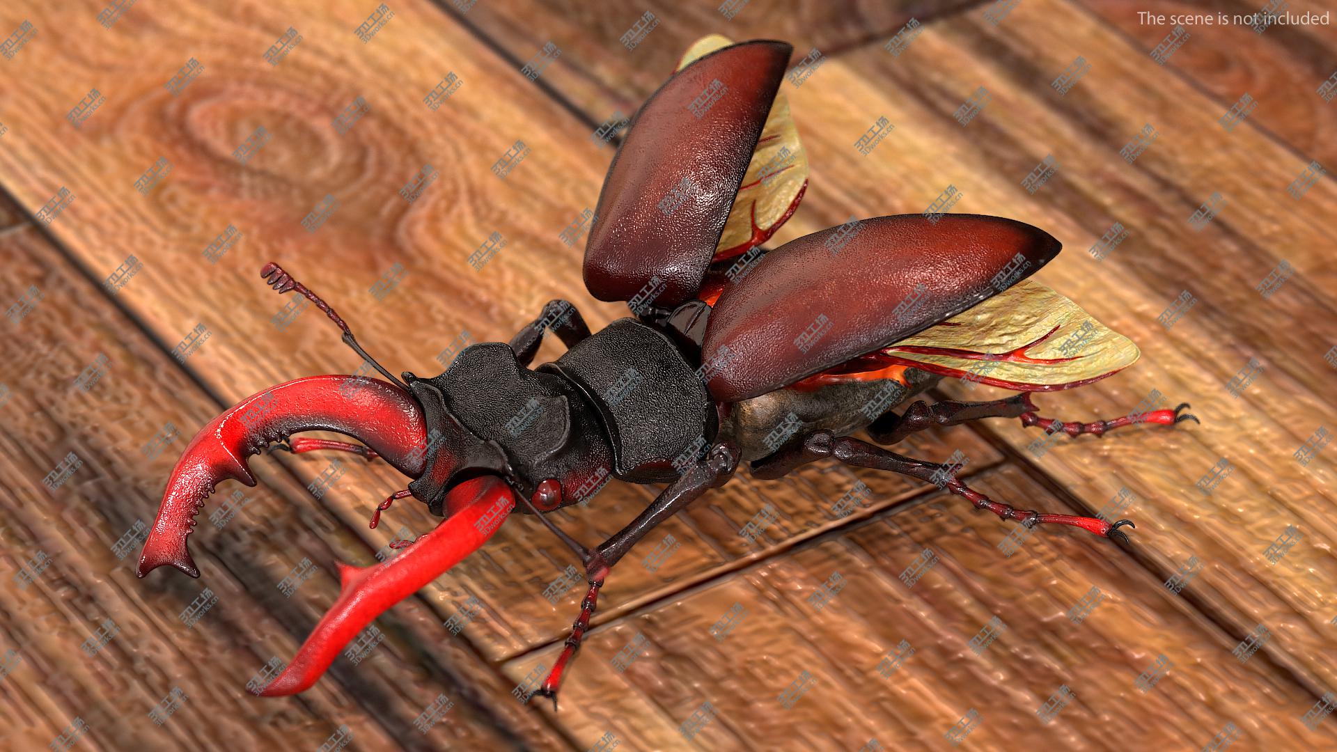 images/goods_img/2021040164/Lucanus Cervus Stag Beetle 3D model/1.jpg